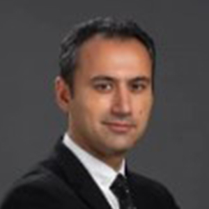 Serdar Özer, Türkiye