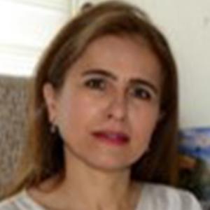 Armağan İncesulu, Türkiye